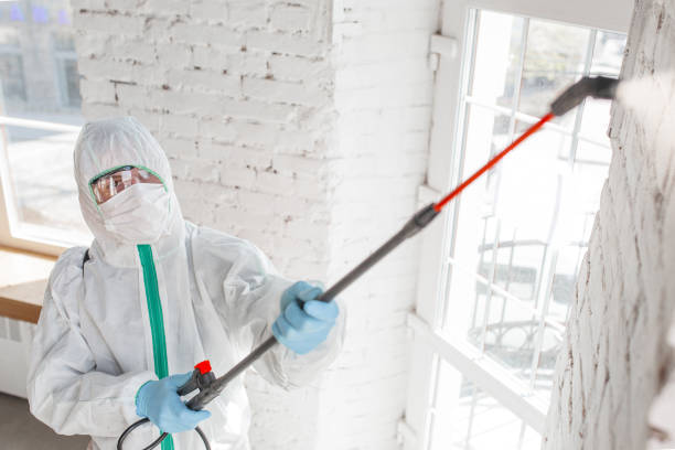 Best Comprehensive Air Testing for Mold Contaminants  in Suncoast Estates, FL